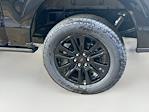 2025 Ford F-150 SuperCrew Cab 4WD Pickup for sale #FL50156 - photo 20