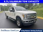 2017 Ford F-250 Crew Cab 4WD Pickup for sale #FL502131 - photo 1