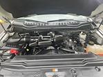 2017 Ford F-250 Crew Cab 4WD Pickup for sale #FL502131 - photo 22