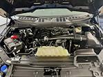 2022 Ford F-150 SuperCrew Cab 4WD Pickup for sale #FL502491 - photo 27