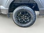 2025 Ford F-150 SuperCrew Cab 4WD Pickup for sale #FL50262 - photo 17