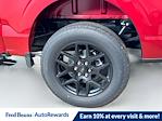 2025 Ford F-150 SuperCrew Cab 4x4 Pickup for sale #FL50503 - photo 16