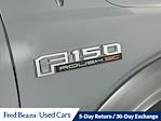 2020 Ford F-150 SuperCrew Cab 4x4 Pickup for sale #FL505421 - photo 10