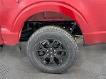 New 2025 Ford F-150 STX SuperCrew Cab 4x4 Pickup for sale #FL50599 - photo 16