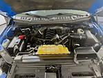 2016 Ford F-150 Super Cab 4WD Pickup for sale #FL507431 - photo 25