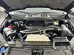 2023 Ford F-150 SuperCrew Cab 4WD Pickup for sale #FL507531 - photo 32