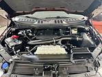 2023 Ford F-150 SuperCrew Cab 4WD Pickup for sale #FL508671 - photo 30