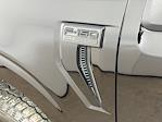 2025 Ford F-150 SuperCrew Cab 4WD Pickup for sale #FL50955 - photo 19