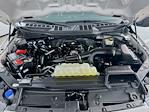 2023 Ford F-150 SuperCrew Cab 4WD Pickup for sale #FL5136P - photo 27