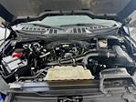 2023 Ford F-150 SuperCrew Cab 4WD Pickup for sale #FL5156P - photo 28