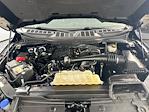 2022 Ford F-150 SuperCrew Cab 4WD Pickup for sale #FL5166P - photo 30