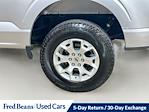 2021 Ford F-150 Regular Cab 4x2 Pickup for sale #FL5214P - photo 9