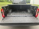 2023 Ford F-250 Crew Cab 4WD Pickup for sale #FL5249D - photo 10