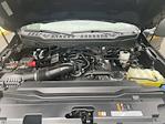 2023 Ford F-250 Crew Cab 4WD Pickup for sale #FL5249D - photo 24