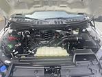2023 Ford F-150 Super Cab 4WD Pickup for sale #FL5251P - photo 20