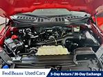 2021 Ford F-150 SuperCrew Cab 4x4 Pickup for sale #FL5327D - photo 28