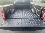 2020 Ford F-450 Crew Cab DRW 4WD Pickup for sale #FL5341D - photo 30