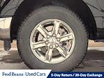 2024 Ford F-150 SuperCrew Cab 4x4 Pickup for sale #FL5342D - photo 6