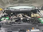 2024 Ford F-350 Crew Cab DRW 4x4 Pickup for sale #FL5384P - photo 23