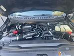 2023 Ford F-350 Crew Cab SRW 4WD Pickup for sale #FL5427J - photo 25