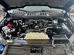 2023 Ford F-150 SuperCrew Cab 4x4 Pickup for sale #FL5436D - photo 29