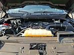 2023 Ford F-150 SuperCrew Cab 4WD Pickup for sale #FL5501S - photo 33