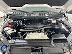 2023 Ford F-150 SuperCrew Cab 4WD Pickup for sale #FL5528D - photo 31