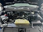 2023 Ford F-150 SuperCrew Cab 4WD Pickup for sale #FL5529D - photo 28