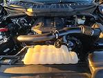 2022 Ford F-150 SuperCrew Cab 4WD Pickup for sale #FL5535D - photo 10