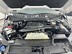 2023 Ford F-150 SuperCrew Cab 4WD Pickup for sale #FL5536D - photo 30