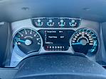 2013 Ford F-150 SuperCrew Cab 4WD Pickup for sale #FL5569C1 - photo 9