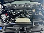 2023 Ford F-150 SuperCrew Cab 4WD Pickup for sale #FL5605D - photo 30