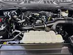 2023 Ford F-150 SuperCrew Cab 4WD Pickup for sale #FL5606D - photo 23