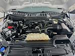 2021 Ford F-150 SuperCrew Cab 4WD Pickup for sale #FL600201 - photo 28