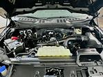 2025 Ford F-150 SuperCrew Cab 4WD Pickup for sale #FL600261 - photo 29