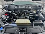 2023 Ford F-150 SuperCrew Cab 4WD Pickup for sale #FL6035D - photo 31