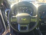 2023 Ford F-150 SuperCrew Cab 4WD Pickup for sale #FL6065D - photo 8