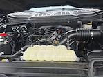 2023 Ford F-150 SuperCrew Cab 4WD Pickup for sale #FL6084D - photo 13