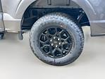 2025 Ford F-150 SuperCrew Cab 4WD Pickup for sale #FL70024 - photo 6
