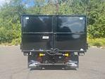 New 2024 Ford F-550 Regular Cab 4WD Landscape Dump for sale #FLU40671 - photo 9