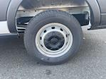 New 2024 Ford Transit 250 Low Roof Empty Cargo Van for sale #FLU50848 - photo 5