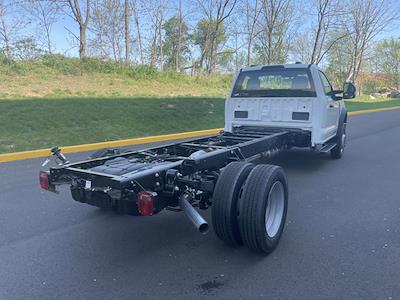 2025 Ford F-550 Regular Cab DRW 4WD Cab Chassis for sale #FLU50314 - photo 2