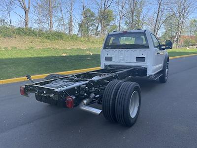 2025 Ford F-600 Regular Cab DRW 4WD Cab Chassis for sale #FLU50351 - photo 2