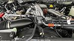 New 2024 Ford F-250 Platinum Crew Cab 4x4 Pickup for sale #D241967 - photo 40