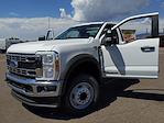 New 2024 Ford F-600 Regular Cab Cab Chassis for sale #242158 - photo 11