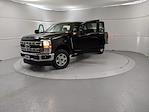 New 2025 Ford F-250 XLT Crew Cab 4x4 Pickup for sale #250439 - photo 12