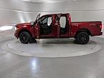 New 2025 Ford F-150 XLT SuperCrew Cab 4x4 Pickup for sale #250661 - photo 11