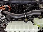 New 2025 Ford F-150 XLT SuperCrew Cab 4x4 Pickup for sale #250661 - photo 27