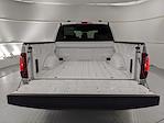 New 2025 Ford F-150 STX SuperCrew Cab Pickup for sale #G250754 - photo 23