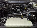 New 2025 Ford F-150 STX SuperCrew Cab Pickup for sale #G250754 - photo 26